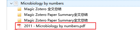 拥有父条目的PDF
